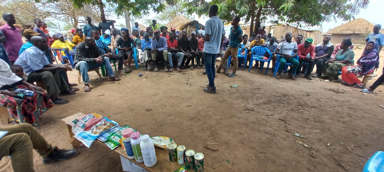 Livelihood & Economic Empowerment